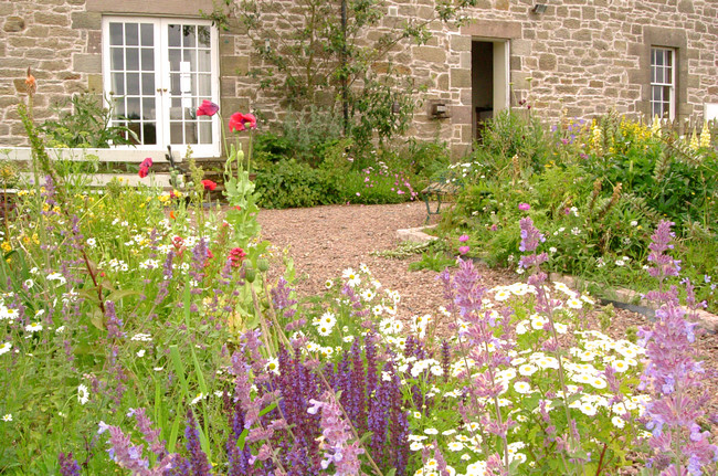 Image of cottage